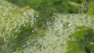 艾草葉放入煮沸的水中，加點(diǎn)食用堿，待變成深綠色時(shí)撈出，放入冰水中，瀝干備用。