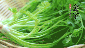 挑選鮮嫩的香菜，洗干凈后，處理成小段。