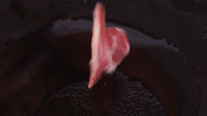 鍋中倒入橄欖油燒熱，放入淡火腿小火煸炒至打卷狀態(tài)。