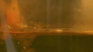 雞肉、鹽、料酒入冷水鍋水開(kāi)后撇去浮沫，溫水洗凈。