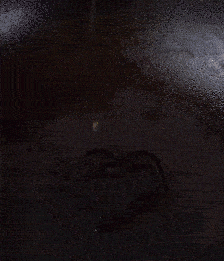 冷鍋熱油，下蒜片爆香，下香腸、玉米筍、蓮藕、西芹爆炒，期間加點水，翻炒1分鐘后加新鮮百合片，翻炒30秒。