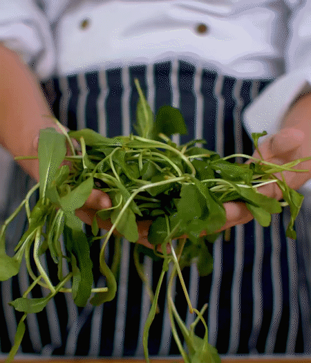 馬蘭頭焯水，切成細末。